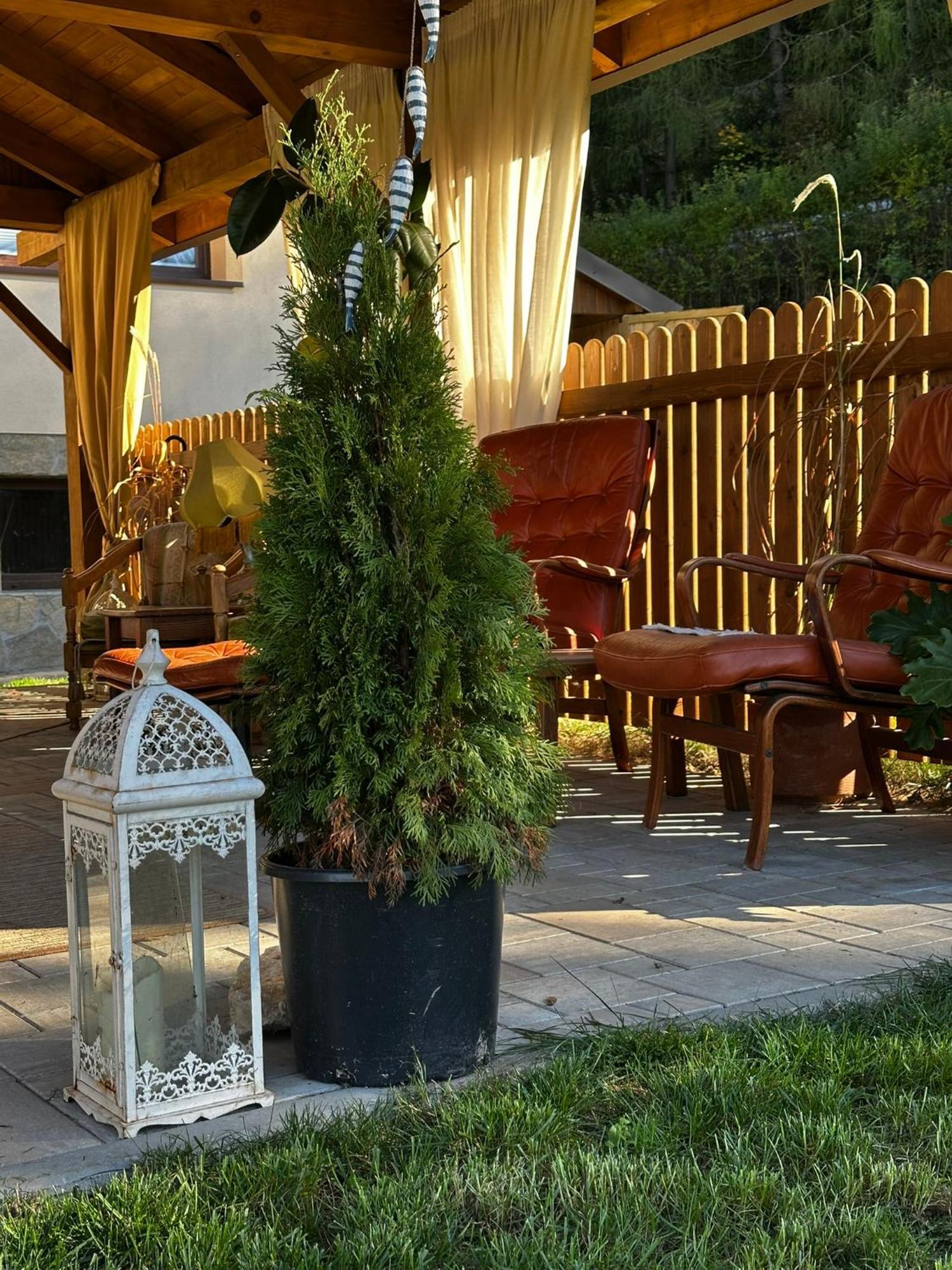 Gosciniec Stara Szkola Hotel Haluszowa Buitenkant foto